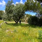 Villa Balcone Sul Mare Selva Di Fasano