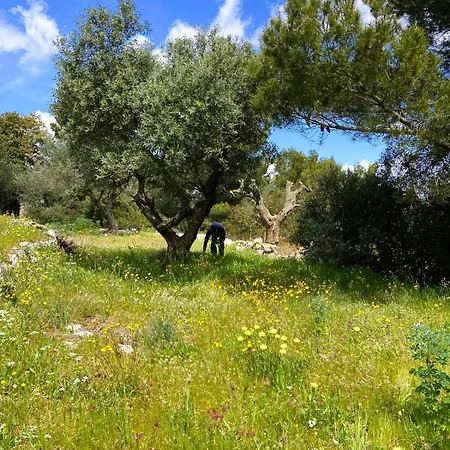 فيلة Balcone Sul Mare سيلفا دو فاسانو